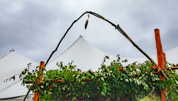 Wigwam Festival